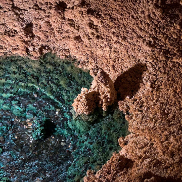 2026-02-IMG_E1180251226