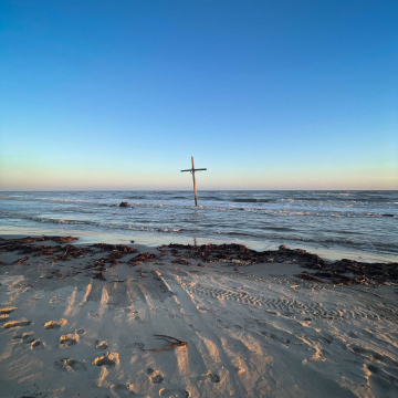 2026-02-IMG_E1379260102