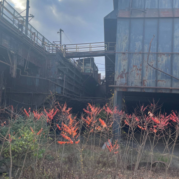 2026-02-IMG_E8165251117