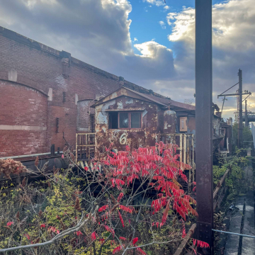 2026-02-IMG_E8167251117