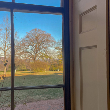 2026-02-IMG_E8256251119