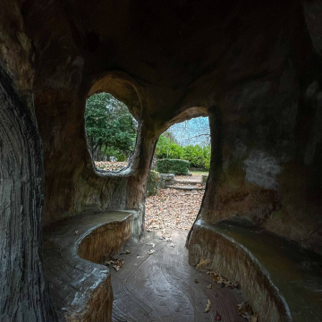 2026-02-IMG_E8470251124