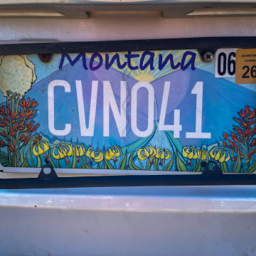 2026-02-IMG_E8571251125