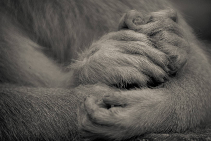 200534995_10222896820143669_6553639032237089107_n