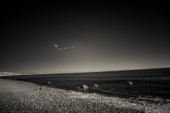 Migration, Martha's Vineyard