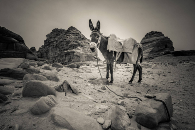 Sony A7 IR Jordan