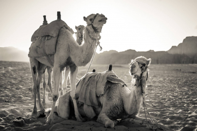 Sony A7 IR Jordan