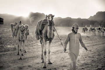 Sony A7 IR Jordan