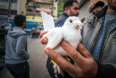 Amman, Jordan