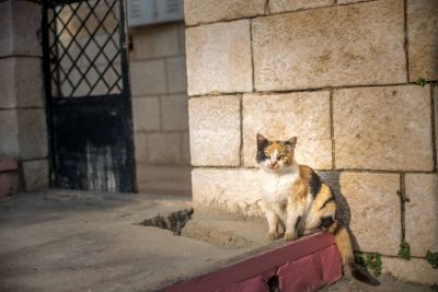 Amman, Jordan