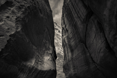 DSC4342-1