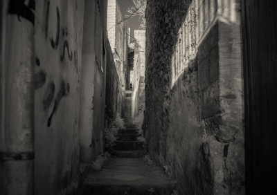 DSC4547-1