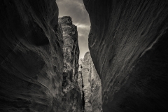 DSC4348-1
