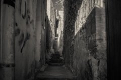 DSC4547-1
