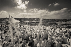 DSC4810-1