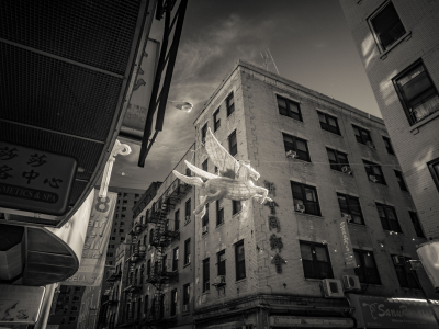 Flying Horse. Chinatown, New York