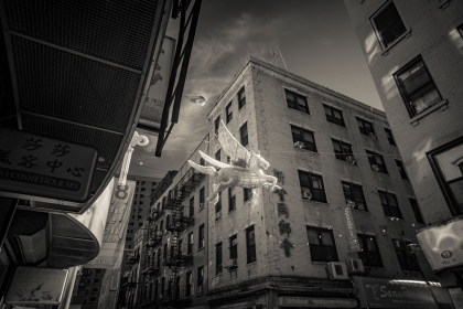 Flying Horse. Chinatown, New York