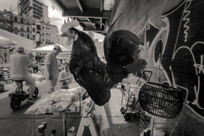 525115057_10233920853817621_7750398516939584019_n