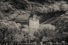 Court Battle. East Village, New York