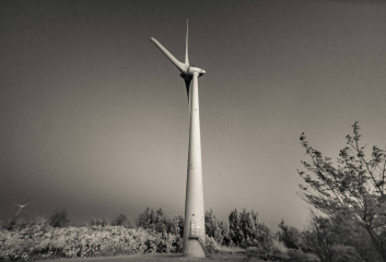 20210119-_DSC7480-BW-Edit