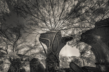 20210125-20210125-_DSC7740-BW-2