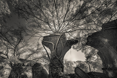 20210125-20210125-_DSC7740-BW-2