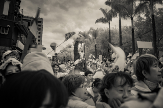 Election Democrazy, Taiwan