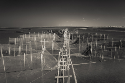 Oyster Farm, Taiwan