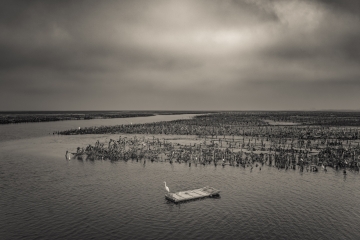 Bird and Oyster Farm, Taiwan