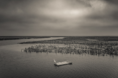 Bird and Oyster Farm, Taiwan