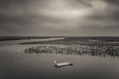 Bird and Oyster Farm, Taiwan
