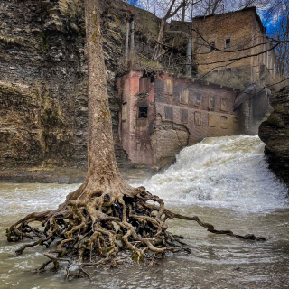 UpstateNY-IMG_3279-1-750-sec-at-f-1.6-ISO-32-3024-x-4032-240406