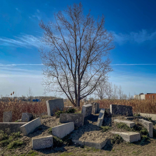 UpstateNY-IMG_3399-1-5000-sec-at-f-1.6-ISO-32-3024-x-4032-240409