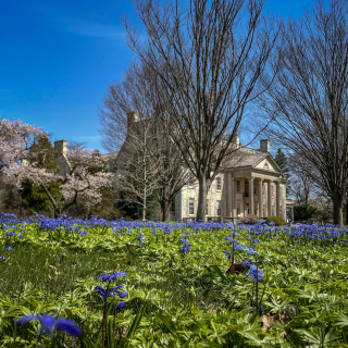 UpstateNY-IMG_3445-1-2500-sec-at-f-1.6-ISO-32-3024-x-4032-240409