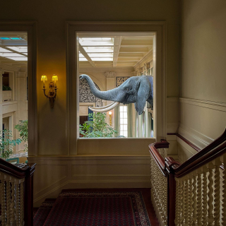 UpstateNY-IMG_3462-1-60-sec-at-f-1.6-ISO-100-3024-x-4032-240409