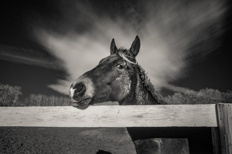 Invisible Worlds and Silent Colors | Photo Exhibit